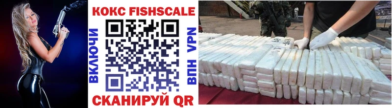 COCAIN Fish Scale Купить закладки Каргат