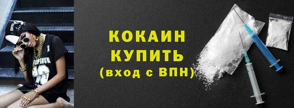 тгк Гусев