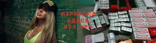 тгк Гусев