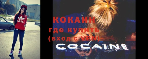 тгк Гусев