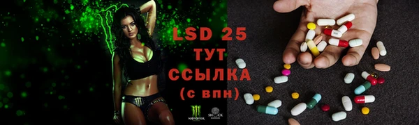 дмт Горняк