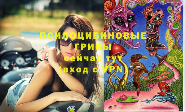прущая мука Гусиноозёрск