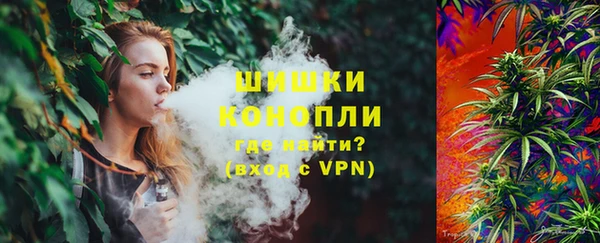 тгк Гусев