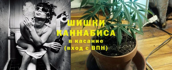 прущая мука Гусиноозёрск