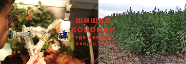 тгк Гусев