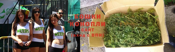 тгк Гусев