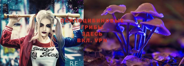 тгк Гусев