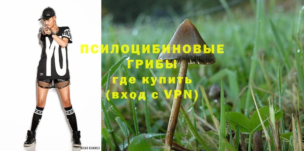 стафф Горнозаводск